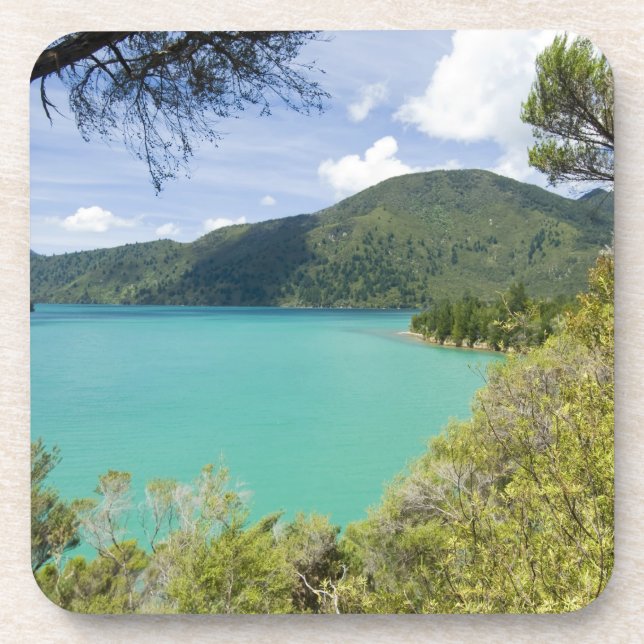 New Zealand, South Island, Marlborough Sounds. Coaster (Front)