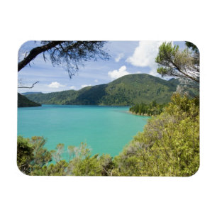 New Zealand, South Island, Marlborough Sounds. Magnet