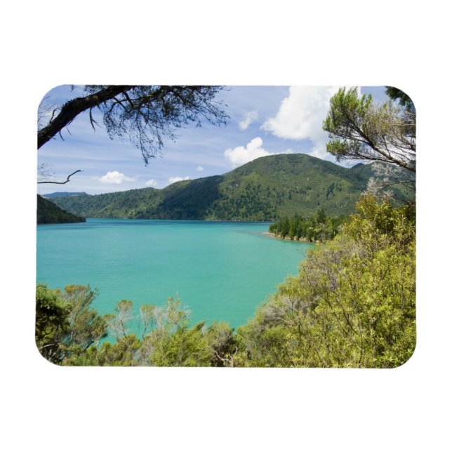 New Zealand, South Island, Marlborough Sounds. Magnet (Horizontal)
