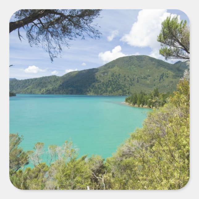 New Zealand, South Island, Marlborough Sounds. Square Sticker (Front)