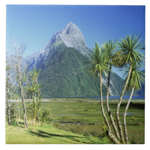 New Zealand, South Island,  Mitre Peak, Tile