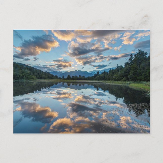 New Zealand, South Island, Westland National Postcard (Front)