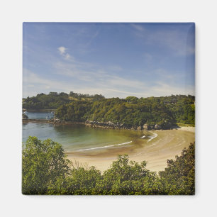 New Zealand, Southland, Stewart Island, Halfmoon Magnet