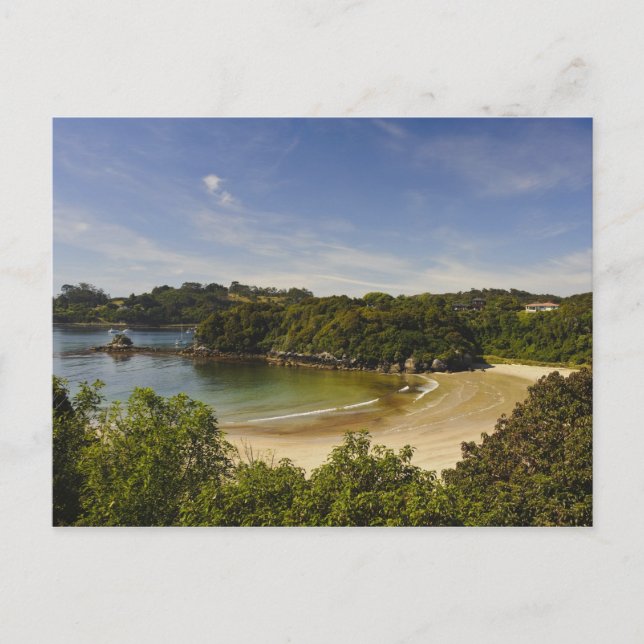 New Zealand, Southland, Stewart Island, Halfmoon Postcard (Front)