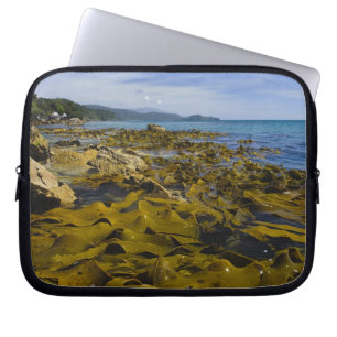 New Zealand, Southland, Stewart Island. Kelp Laptop Sleeve