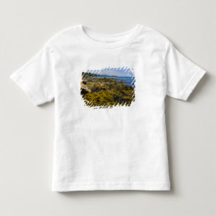 New Zealand, Southland, Stewart Island. Kelp Toddler T-Shirt