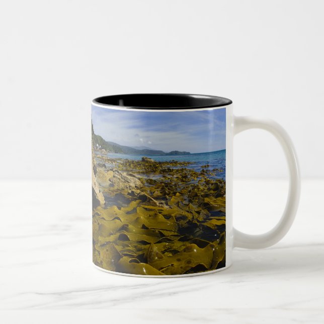 New Zealand, Southland, Stewart Island. Kelp Two-Tone Coffee Mug (Right)