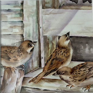 New Zealand Sparrow Bird  Notebook