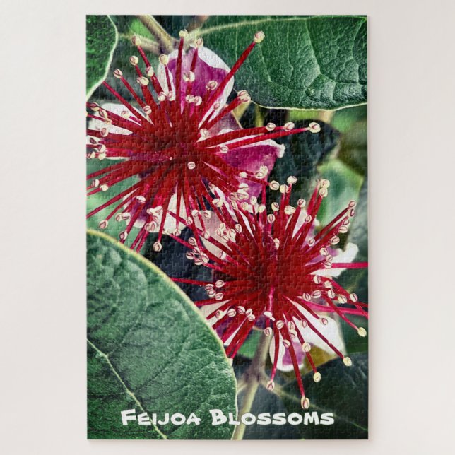 New Zealand Spring Red Blooming Feijoa Fruit Tree Jigsaw Puzzle (Vertical)