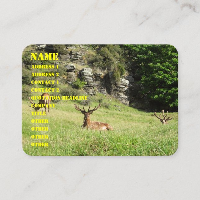 New Zealand Stags Business Card (Front)