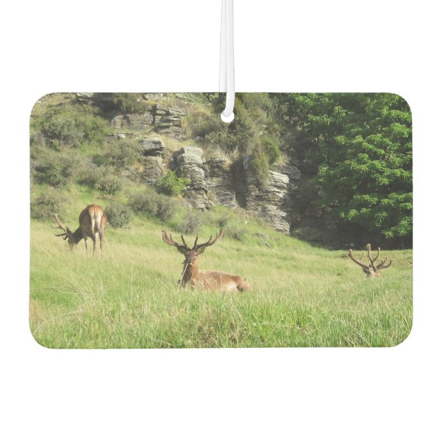 New Zealand Stags Car Air Freshener (Front)