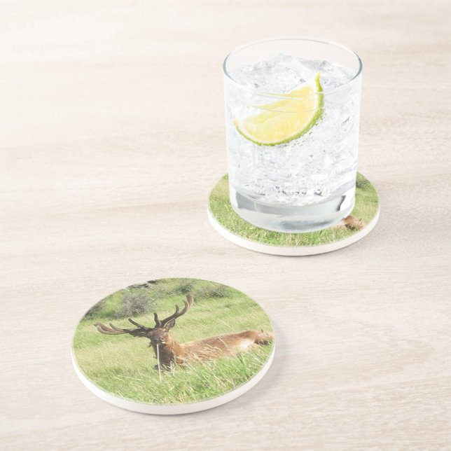 New Zealand Stags Coaster (Side)