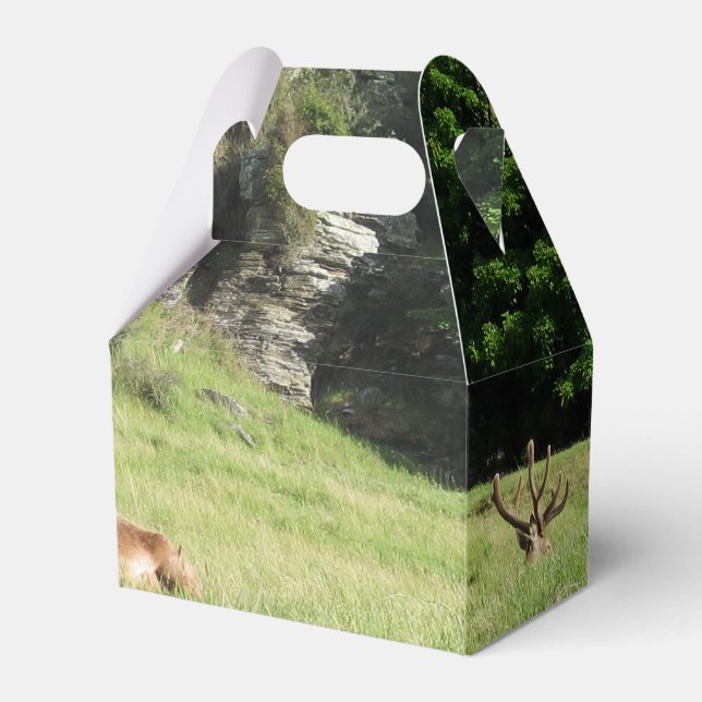 New Zealand Stags Favour Box (Front Side)