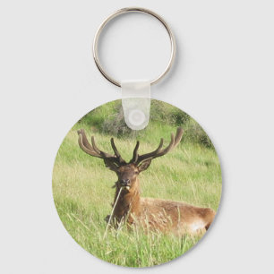 New Zealand Stags Key Ring