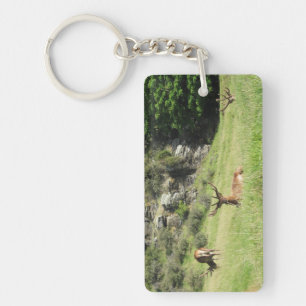 New Zealand Stags Key Ring