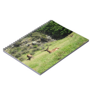 New Zealand Stags Notebook