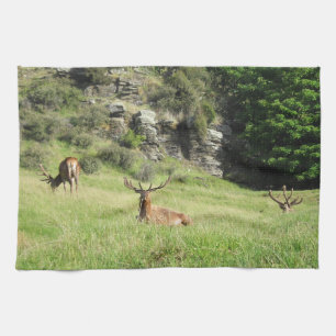 New Zealand Stags Tea Towel