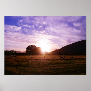 New Zealand Sunrise Poster