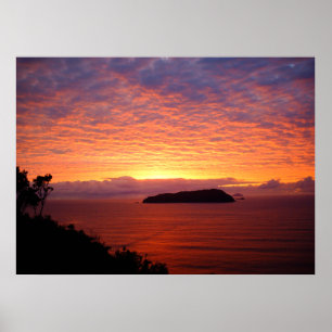 New Zealand - Sunrise Posters