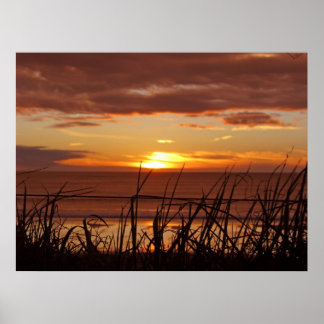 New Zealand Sunset Poster