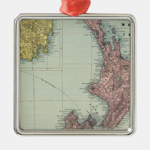 New Zealand, Tasmania, Fiji Metal Tree Decoration