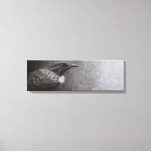 New Zealand Tui Canvas Print