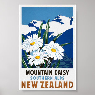 New Zealand Vintage Travel Poster Restored
