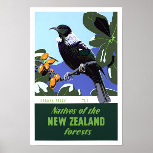 New Zealand Vintage Travel Poster Restored