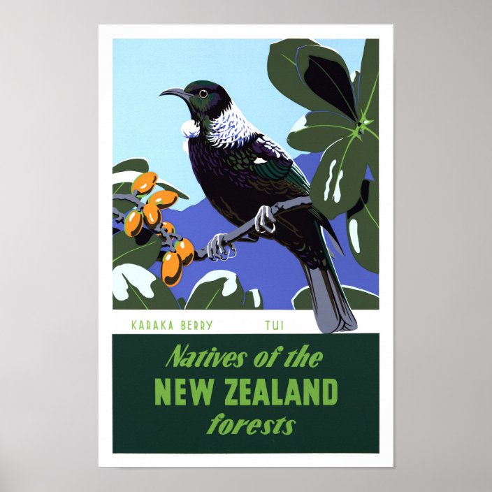 vintage style new zealand travel poster