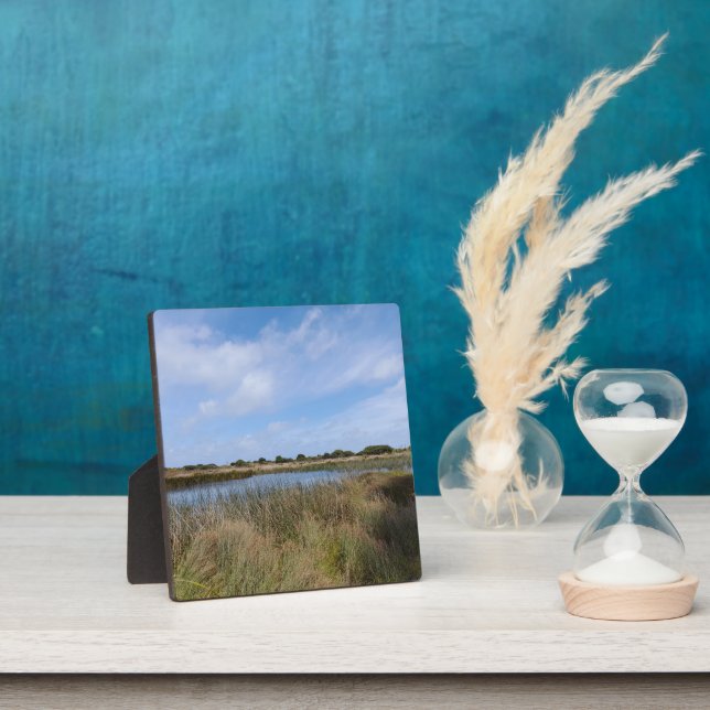 New Zealand West Coast Auckland Whatipu Cave Track Plaque (Insitu)