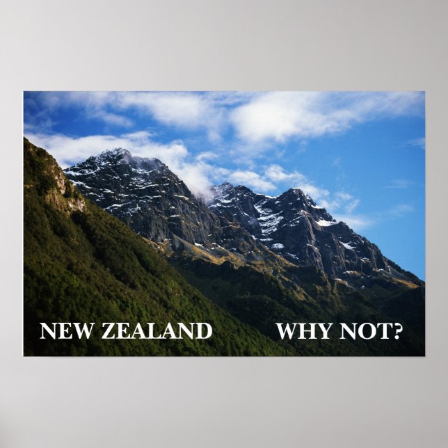 NEW ZEALAND, WHY NOT? POSTER (Front)