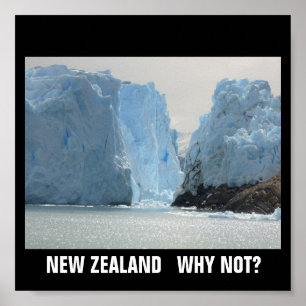 NEW ZEALAND WHY NOT? POSTER