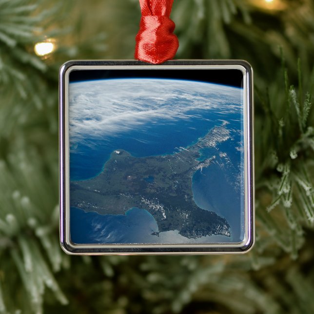 New Zealand's North Island. Metal Tree Decoration (Tree)
