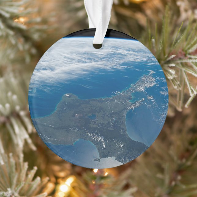 New Zealand's North Island. Ornament (Tree)