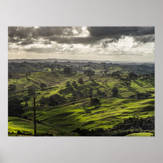 New Zealand's scenic Northland, beautiful farmland Poster
