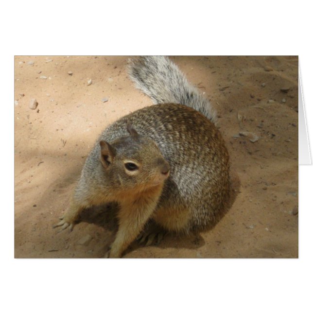 ~New Zion FuZzY GuY~ (Front Horizontal)