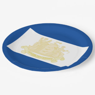 Newark city flag paper plate