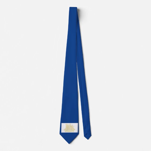 Newark (New Jersey) City Flag Tie (Front)
