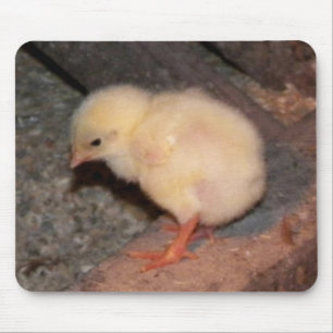 Newborn Chick Mouse Mat