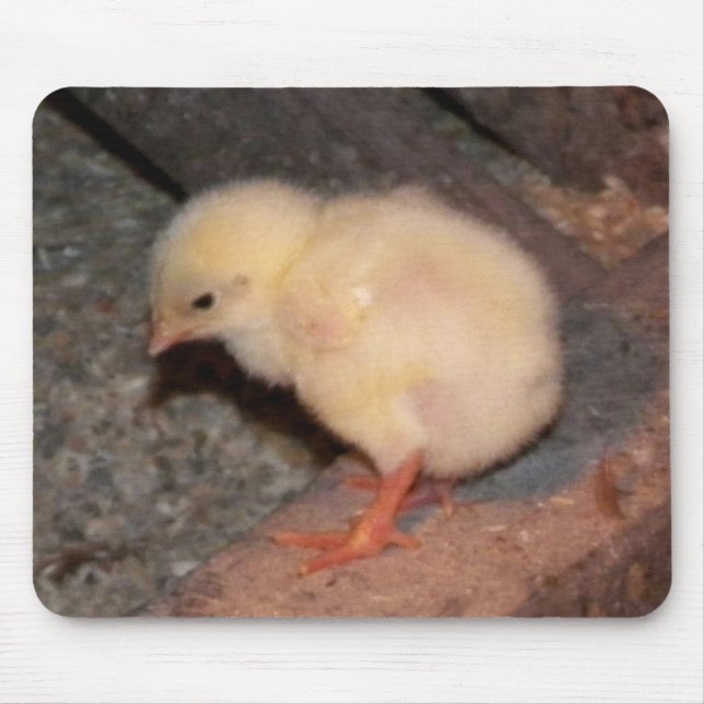 Newborn Chick Mouse Mat (Front)