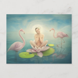newborn fairy water lilly white light pink postcard