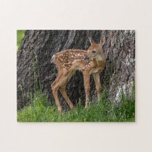 Newborn Fawn Jigsaw Puzzle