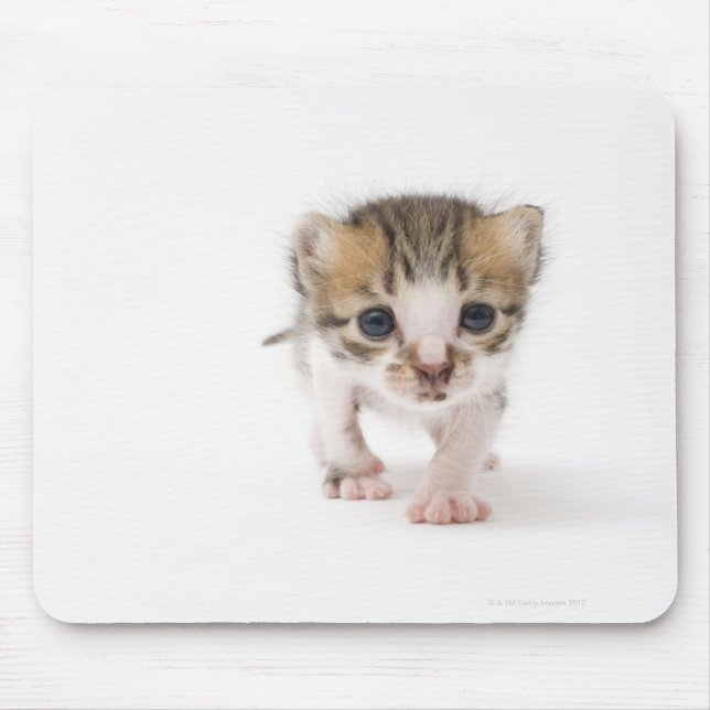 Newborn kitten mouse mat (Front)