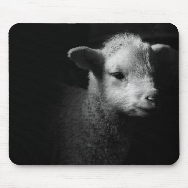 Newborn Lamb Mouse Mat (Front)
