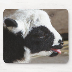 Newborn Lamb Mouse Mat