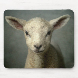 Newborn Lamb Mouse Mat