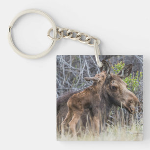 Newborn Moose Calf Nuzzling its Mother Key Ring