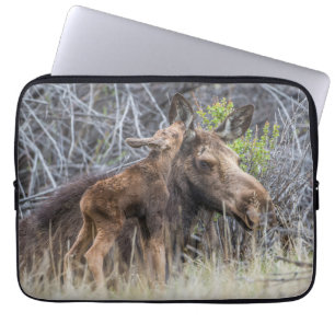 Newborn Moose Calf Nuzzling its Mother Laptop Sleeve