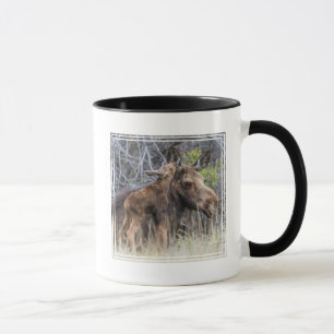 Newborn Moose Calf Nuzzling its Mother Mug