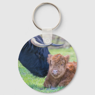 Newborn scottish highlander calf with mother cow key ring